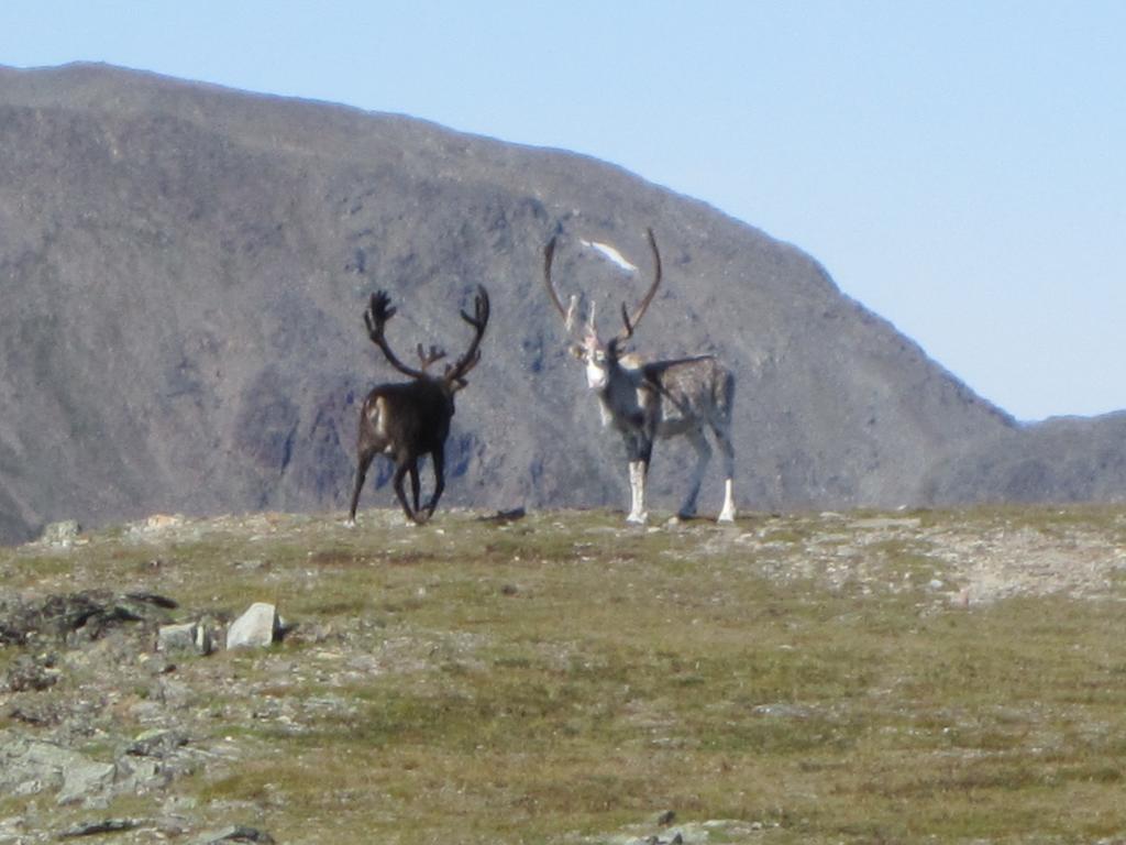 Utsikten Feriehus I Bakkeby Exterior foto